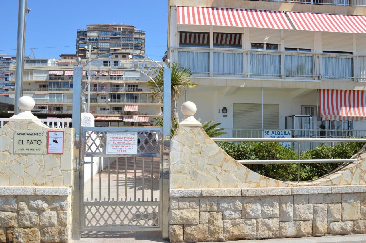 El Pato Primera Linea Benidorm Eksteriør bilde